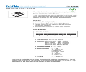 RM04FR604CT.pdf