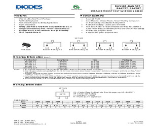 BAV99TQ-13-F.pdf