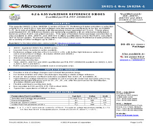 1N823A-1-1%E3.pdf