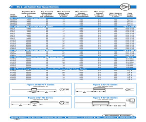 G10FS.pdf