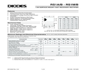 RS1DB.pdf