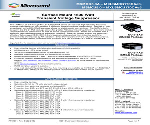 MSMCJ30AE3.pdf