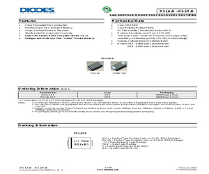 RS1B-13-F.pdf