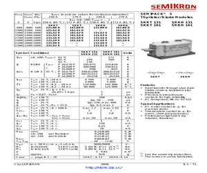 SKKL161/12E.pdf