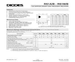 RS1K-7.pdf