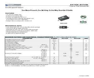 BAT42W RHG.pdf