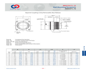 M83723/71W12128.pdf