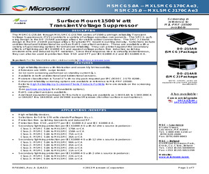 MSMCJ11A.pdf